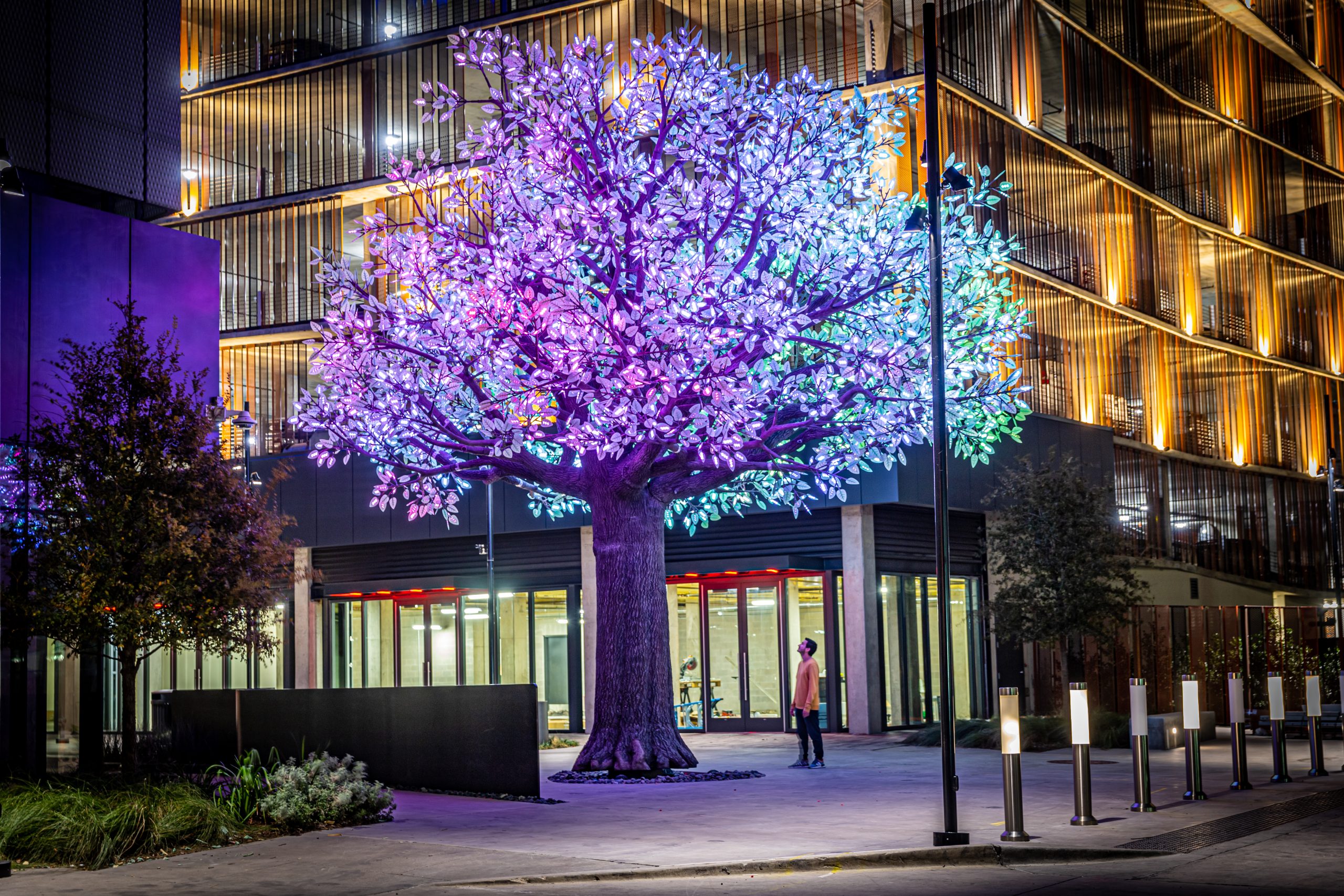 Tree of Ténéré - Studio Drift